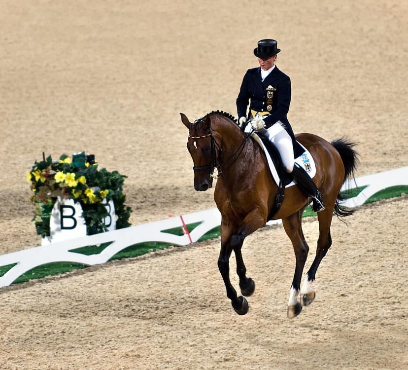 Katharina Hemmer sichert sich Bronze, Isabell Werth geht leer aus
