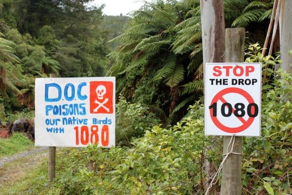 Australië Vaccinatie van Inheemse Vogels Tegen H5 Vogelgriep