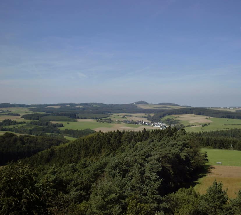 Waldbrand in der Eifel: Evakuierungen in Hürtgenwald und mögliche Folgen in Rheinland-Pfalz