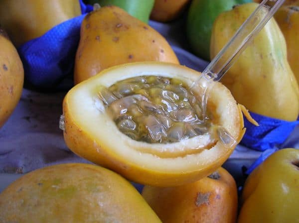 Export von Obst, Gemüse und Blumen im ersten Halbjahr um 3,5% gesunken