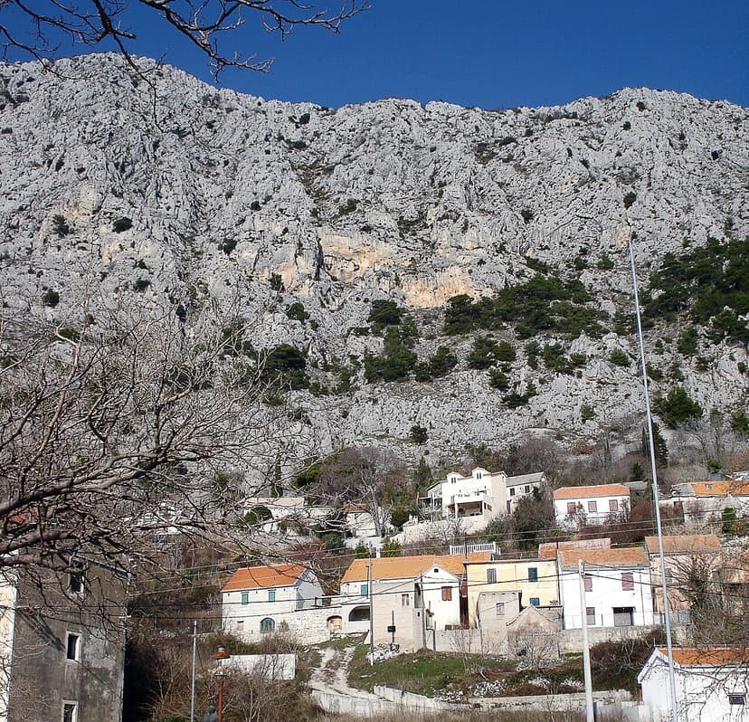 Waldbrand in Kroatien: Ein Toter und zahlreiche Verletzte
