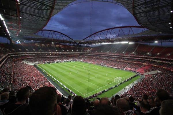 Benfica verkauft Amar Dedic für 35,9 Millionen an Newcastle