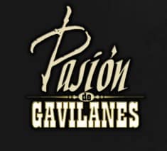 Mario Cimarro claims he is blacklisted from television after success of Pasión de gavilanes