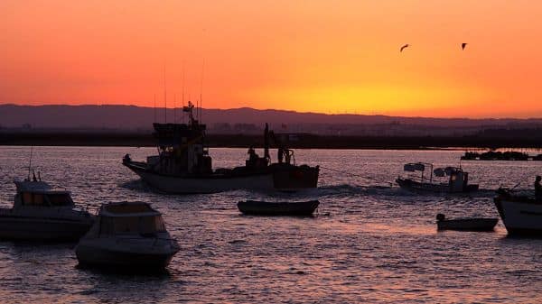 Drei Tote, darunter ein Minderjähriger, bei Schießerei in Isla Cristina