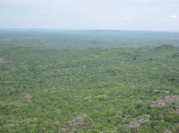 UN weist auf bis zu 500 insurgente Kämpfer in Cabo Delgado hin