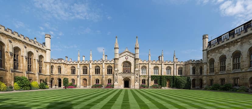 Cambridge professor Jason Arday resigns amid plagiarism allegations
