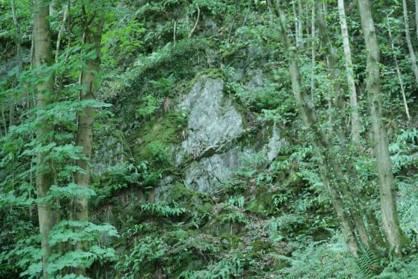 36 personen, waaronder 17 Belgen, gered in Tirol na wandelproblemen