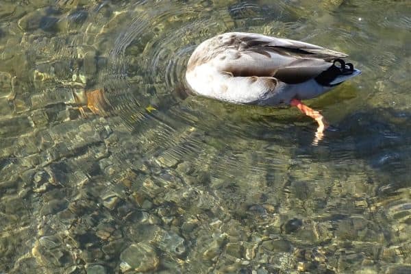 Las facturas de agua en el Reino Unido aumentarán en £3.4 mil millones tras la aprobación del regulador