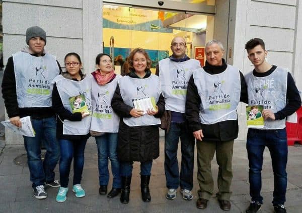 Nachbarn in Valdepeñas angezeigt, weil er 40 Katzen getötet haben soll