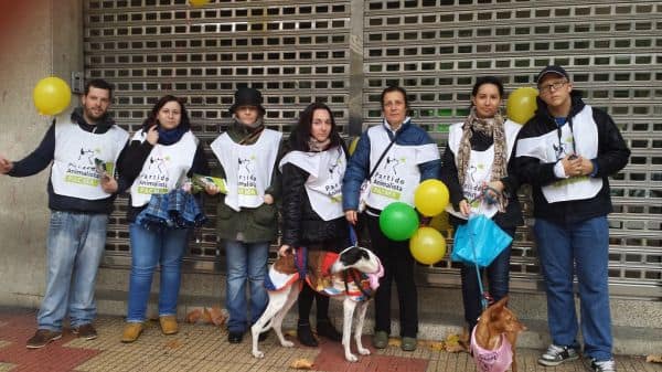 Nachbarn in Valdepeñas angezeigt, weil er 40 Katzen getötet haben soll