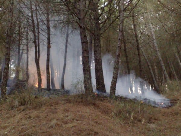 Waldbrand in British Columbia: Eine Frau stirbt, 20.000 Menschen evakuiert