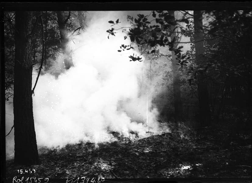 Waldbrand in British Columbia: Eine Frau stirbt, 20.000 Menschen evakuiert