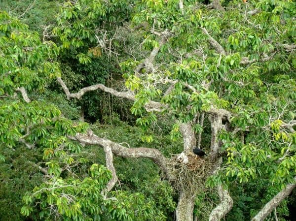 Descoberta de destroços de navio romano na costa da Sicília