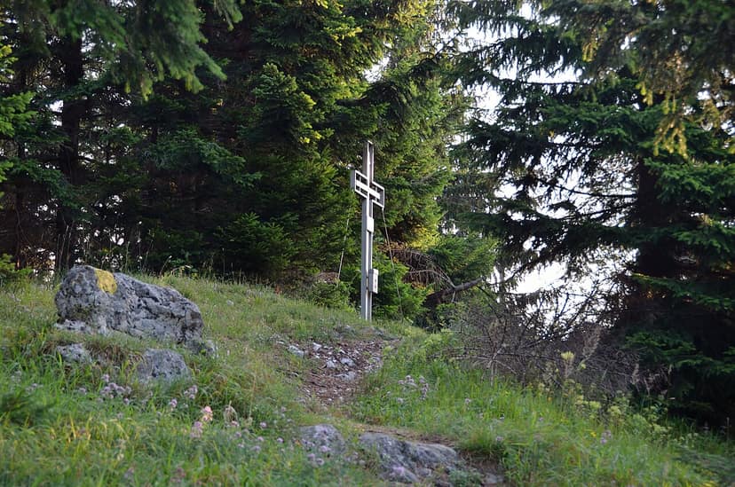 Tschechiens Regierung beruft Dürre-Gipfel ein