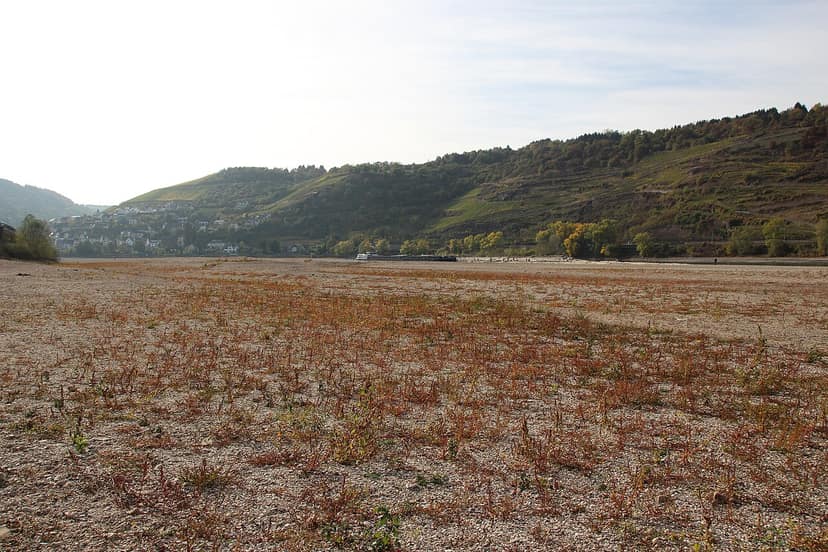 Bilger annonce des mesures immédiates contre les effets de la baisse des eaux à Bonn