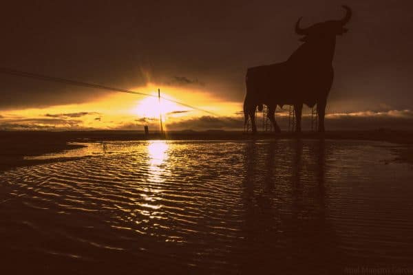 España se prepara para su primer eclipse solar total en más de un siglo