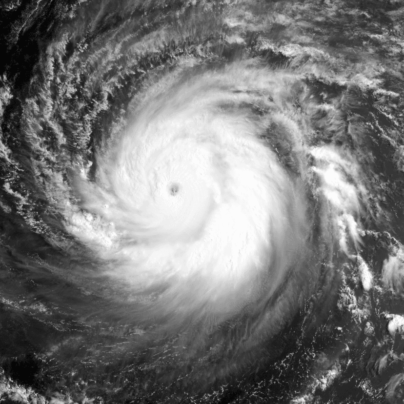 Typhoon Dolphin hits China, displacing over one million people