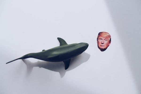 Trump e Zelensky su missili e costi della guerra