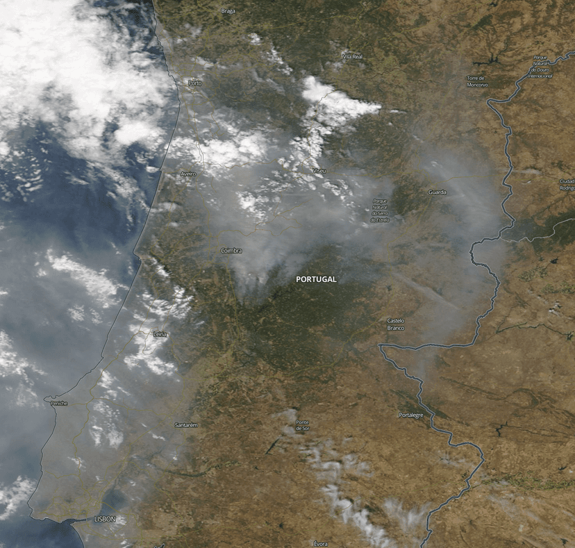 More than 20,000 people evacuated due to wildfire in Canada