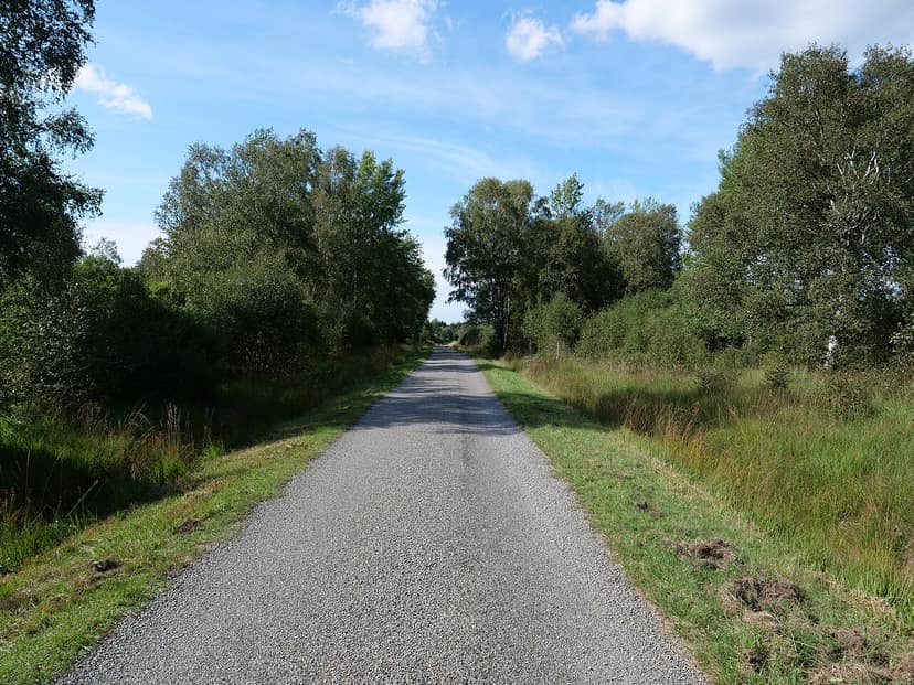 Kinder des Kazou-Camps nach Evakuierung in den Hohe Venen mit Eltern wiedervereint