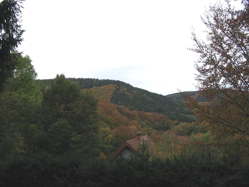 Waldbrand in der Eifel: 1800 Menschen aus Hürtgenwald evakuiert