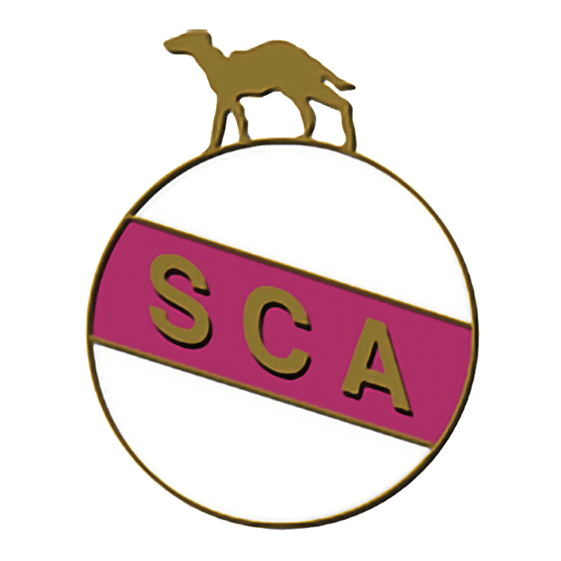 Rejet de la demande de récusation dans le procès de la vente du RSC Anderlecht